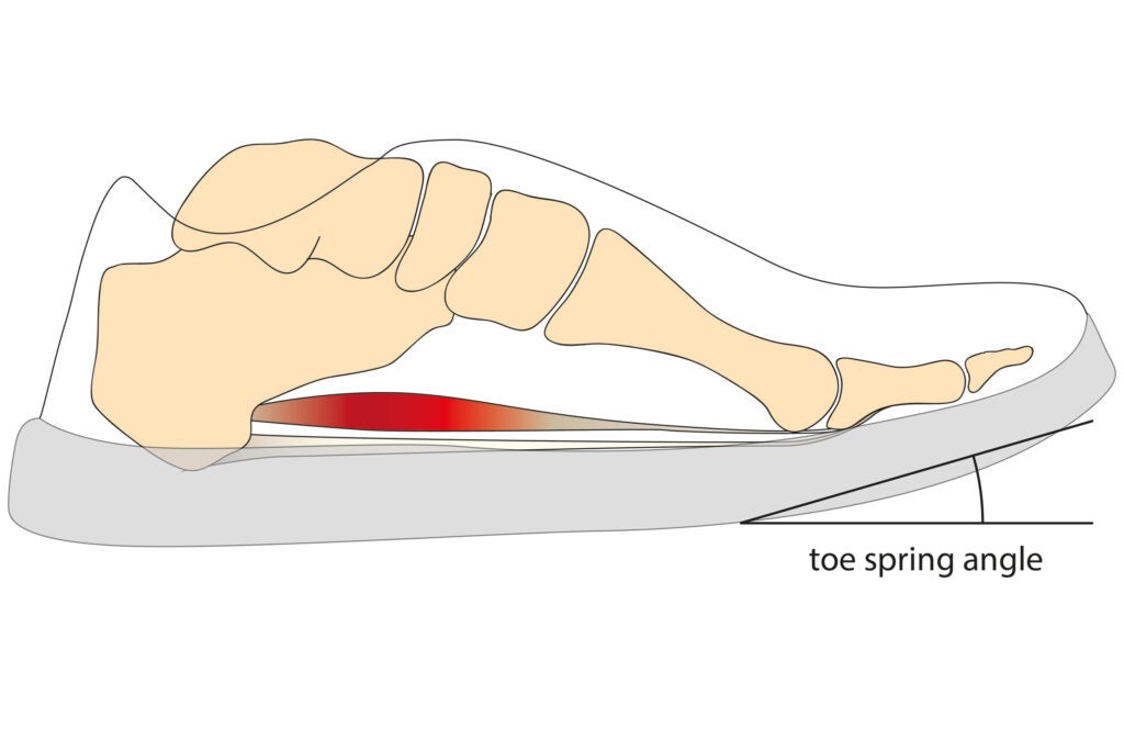 Illustration of a toe