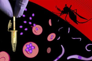 Malaria Diganostic illustration.