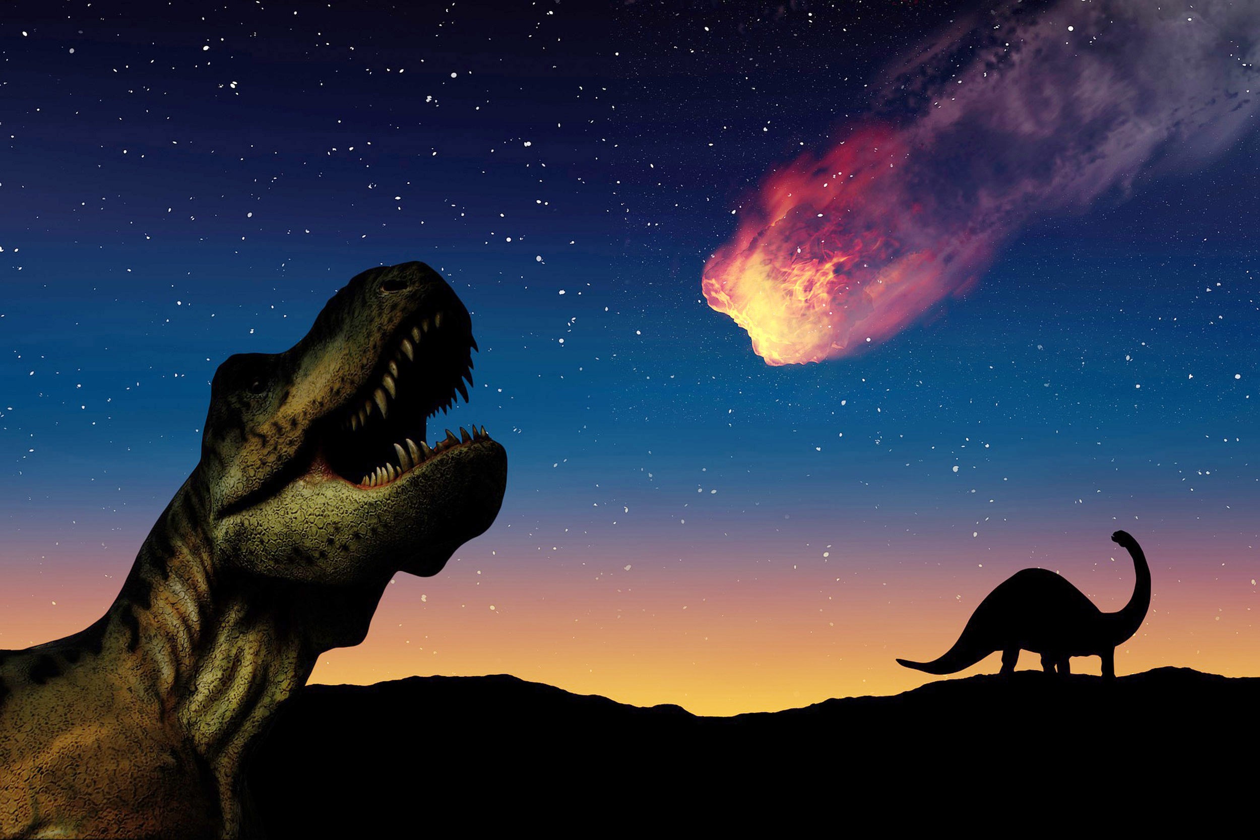 Dinosaur illustration.