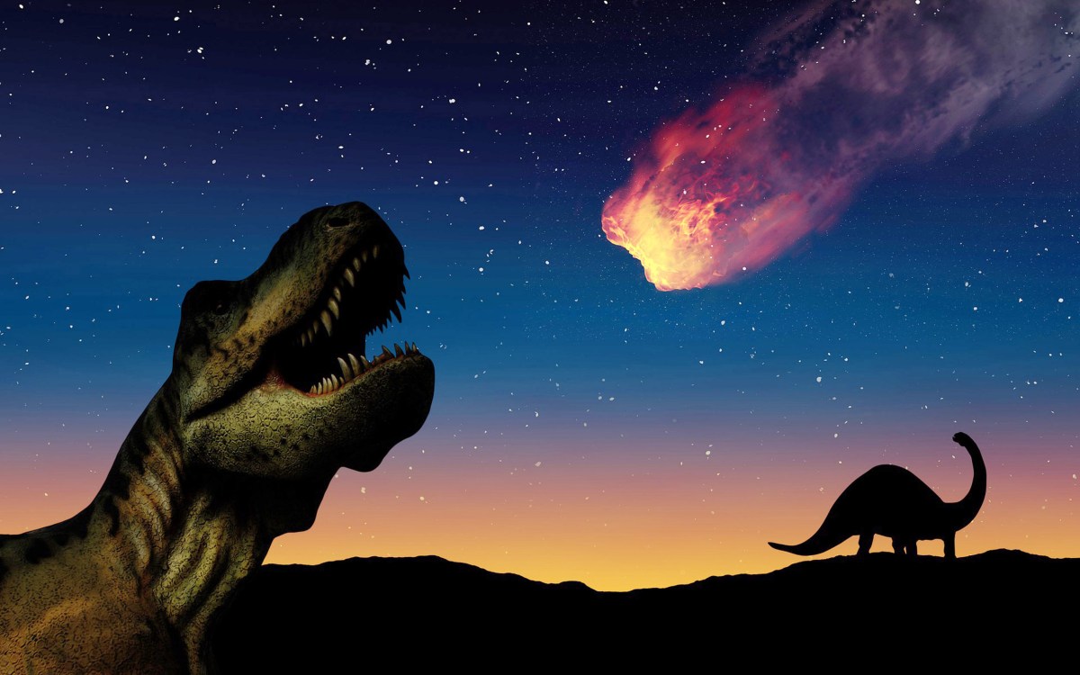 Dinosaur illustration.
