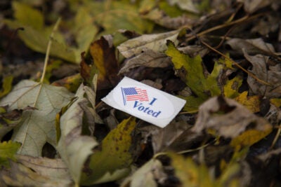 I voted sticker on leaves.