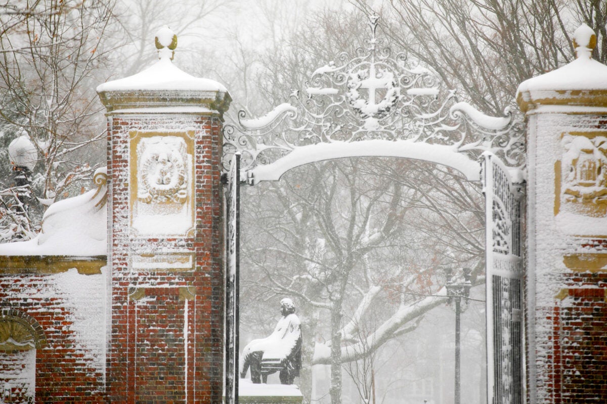 Winter scene in Harvard Yard.
