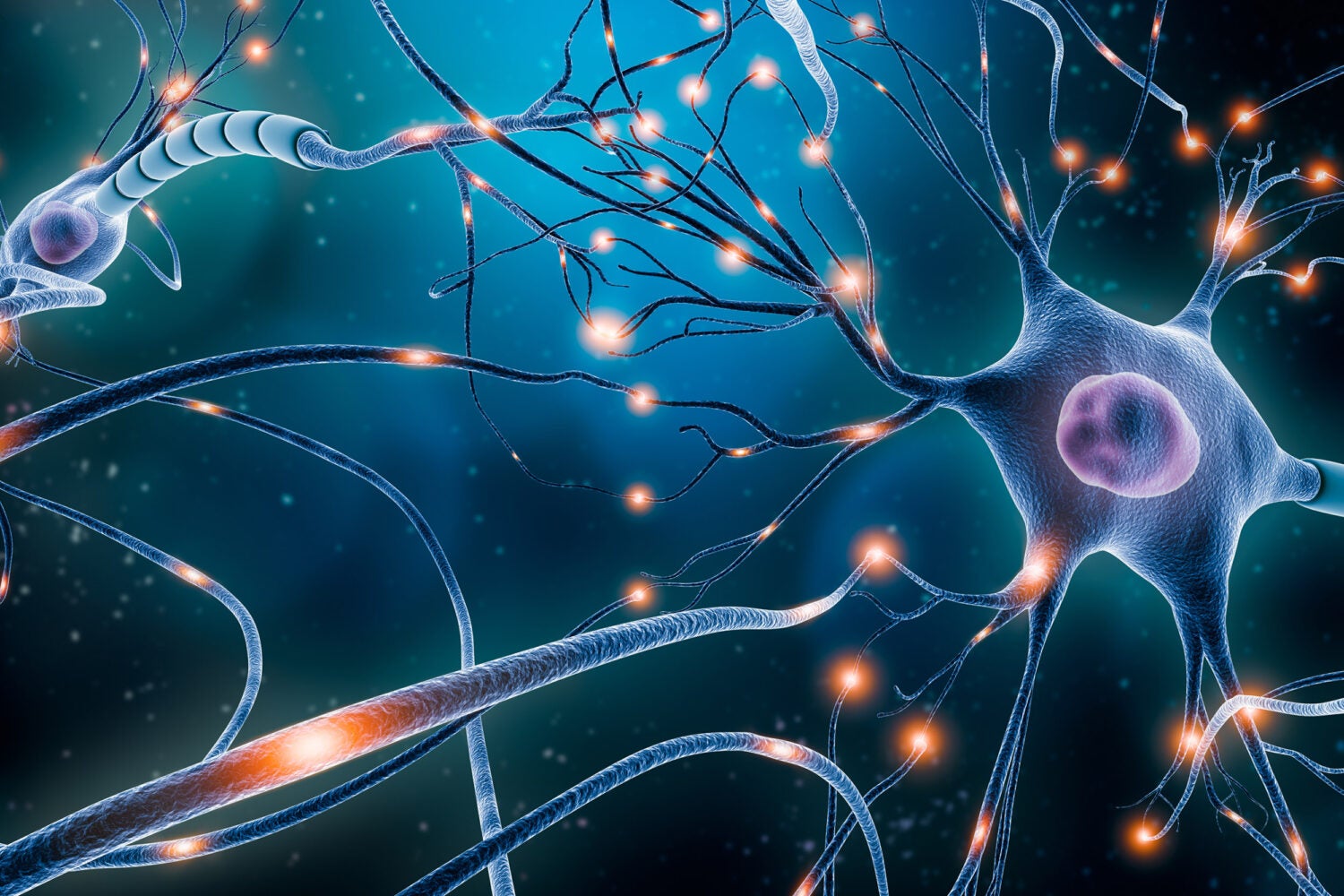 research articles about neurons