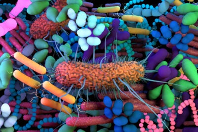 Ilustration of the human Microbiome,