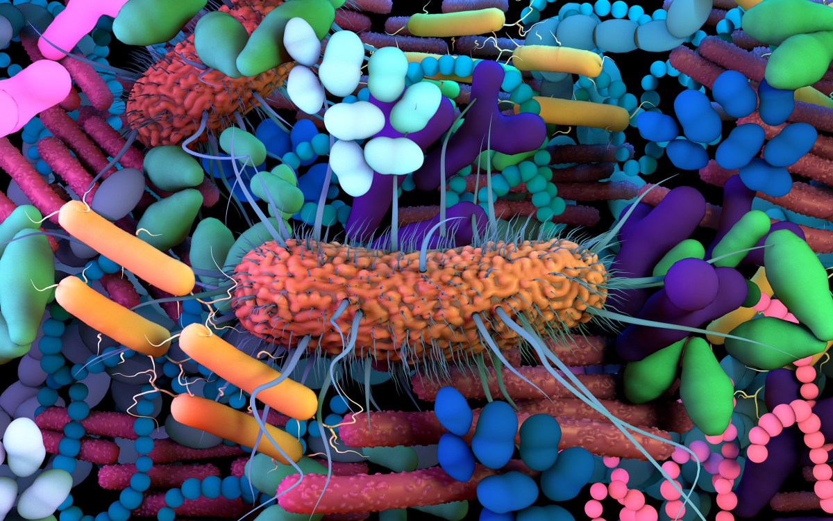 Ilustration of the human Microbiome,