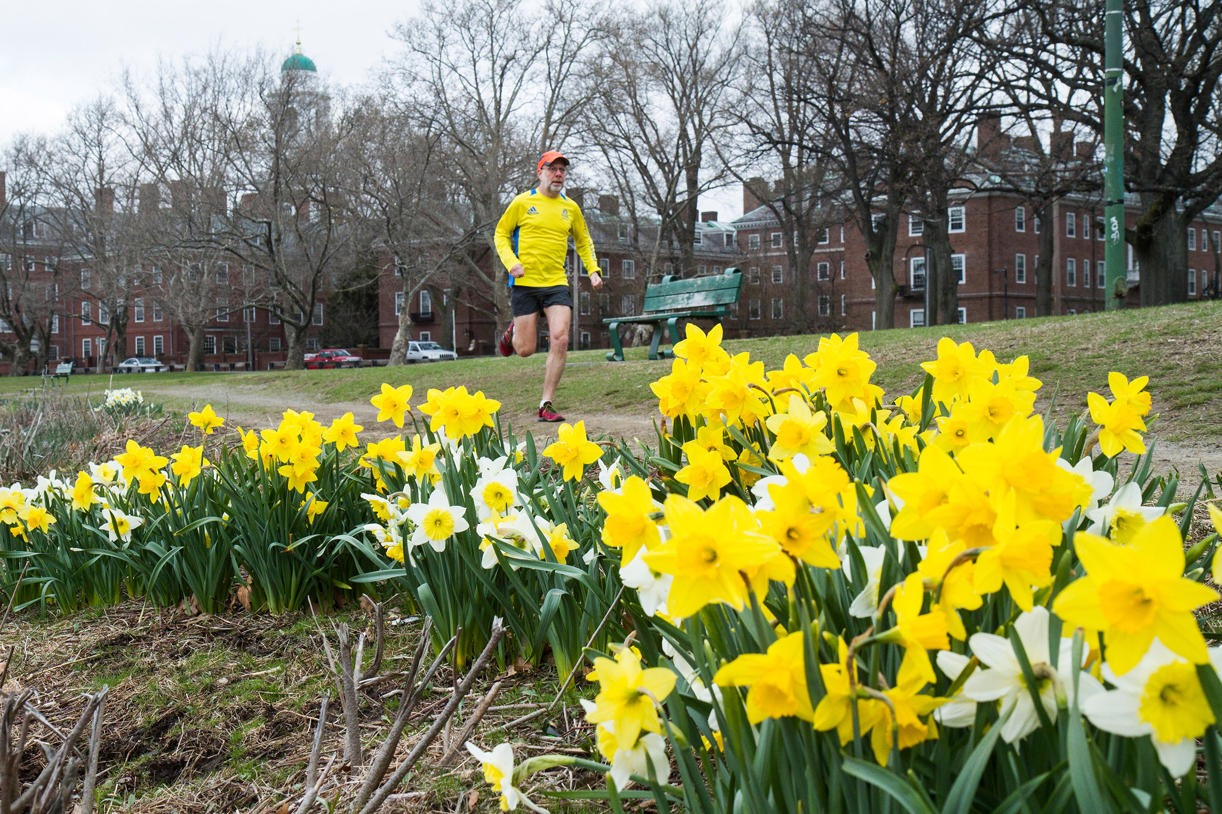 Progress doesn’t always mean movement, says Harvard study of daily ...