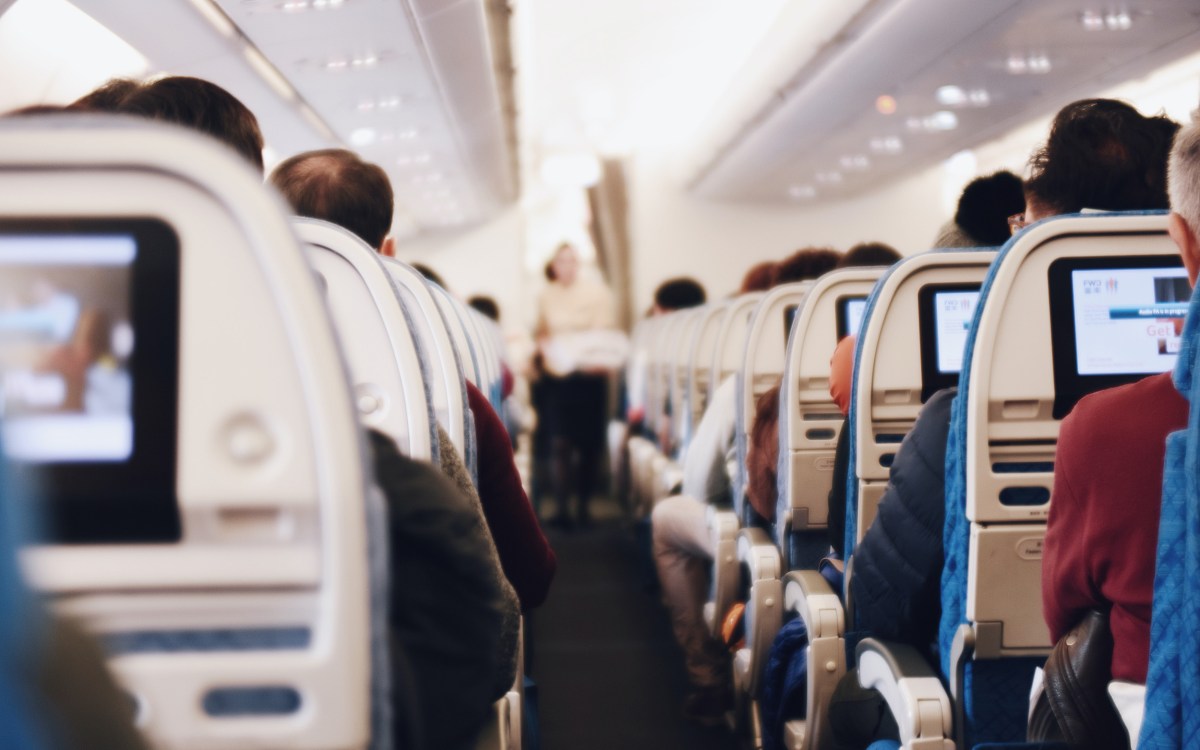 The back of airplane seats.