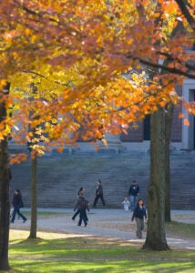 Fall views of Widener Library at Harvard University. S