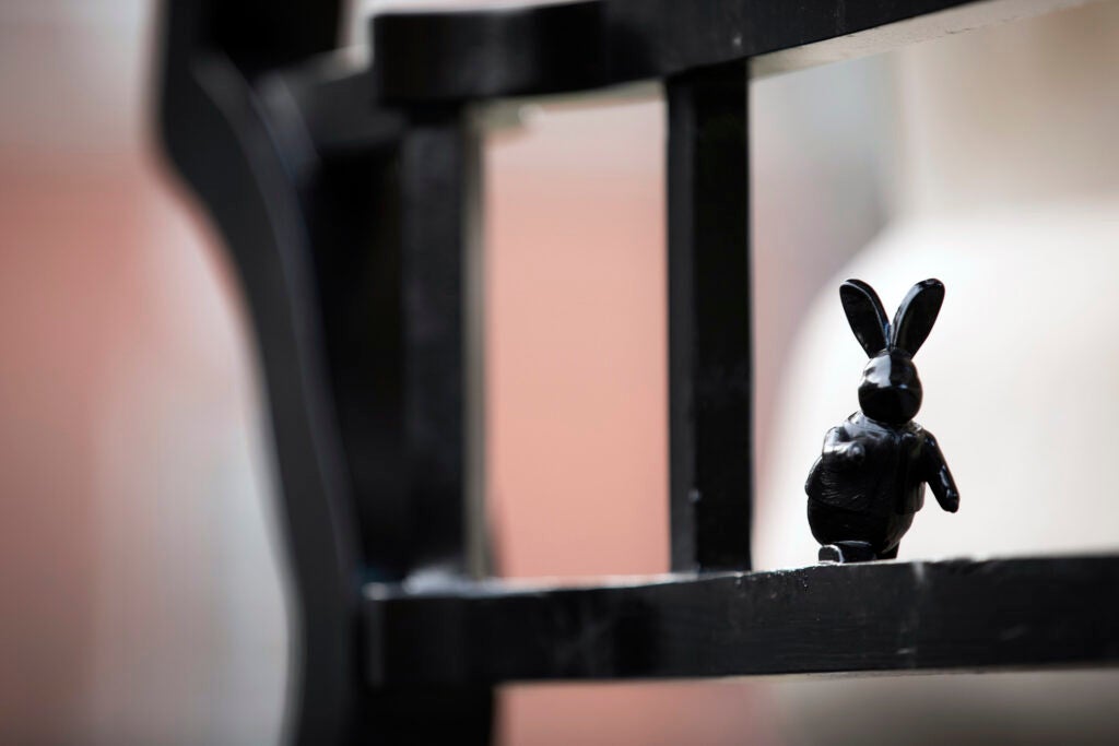 The White Rabbit decorates a gate on Quincy Street.