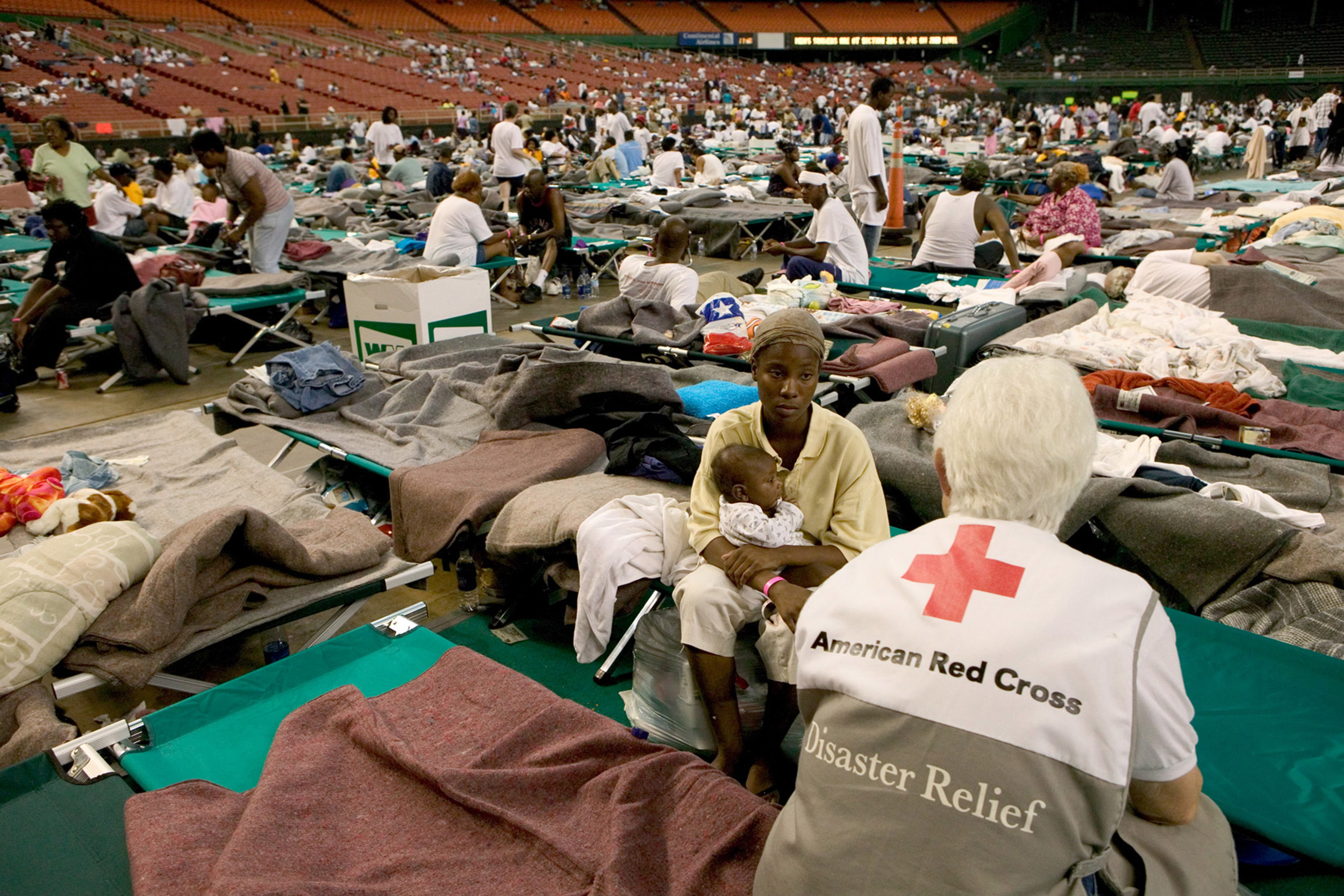 How Did Hurricane Katrina Affect Animals