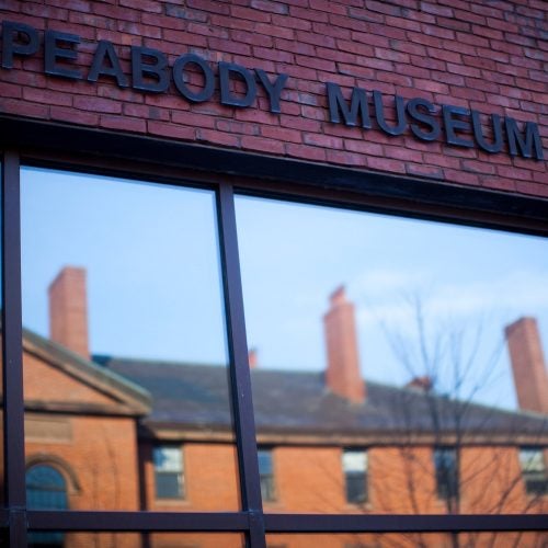 Peabody Museum window.