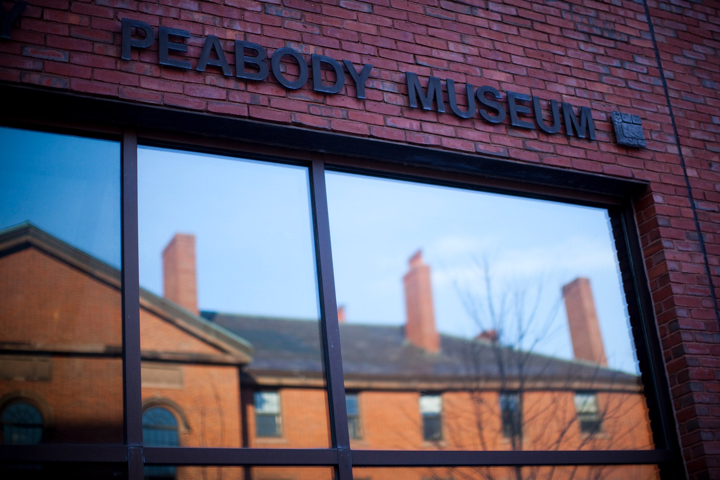 Peabody Museum window.