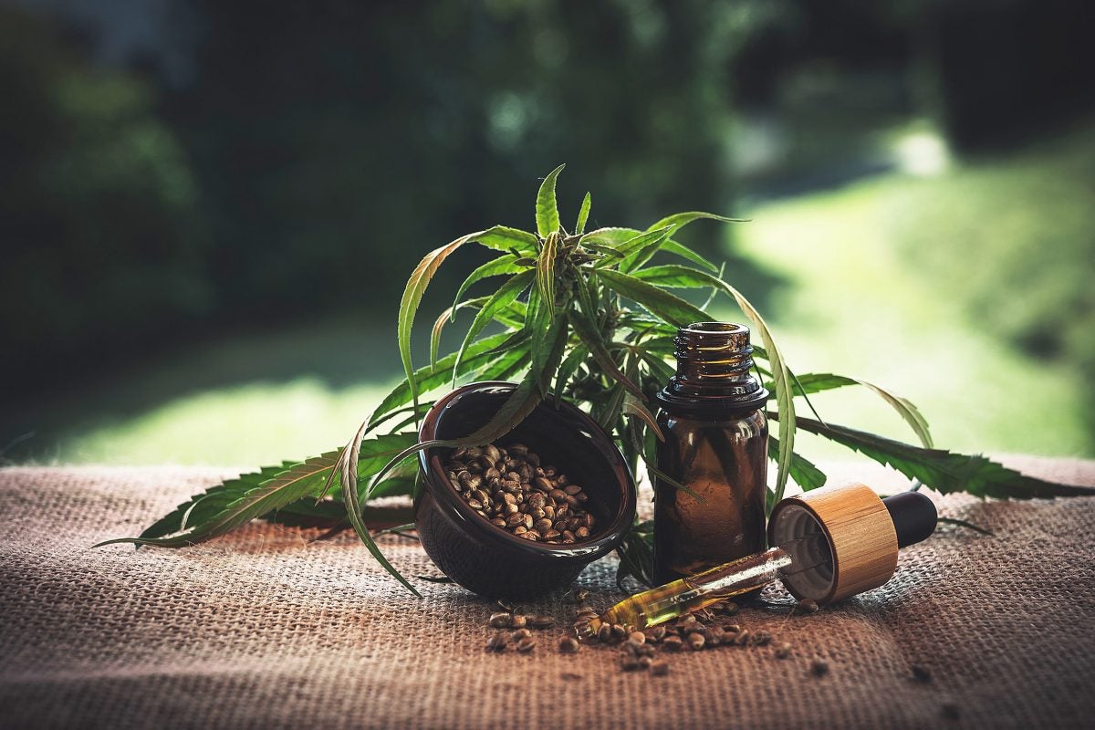 THC and CBD content on labels of medicinal products may be inaccurate –  Harvard Gazette