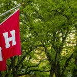 Harvard flags.