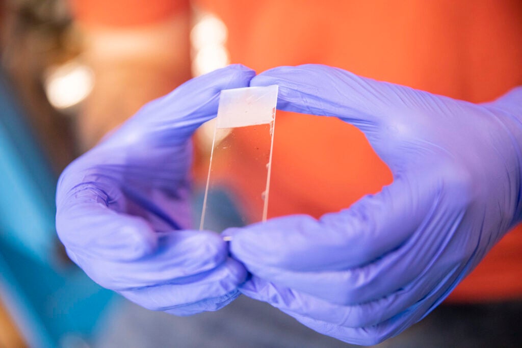 Researcher holds slide with tiny dye molecules used to store data.
