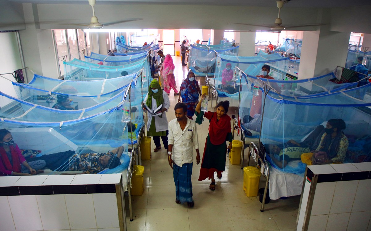 Patients lie under mosquito nets in Dengue ward in Bangladesh.