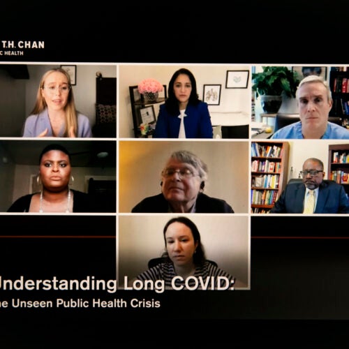 Speakers discuss long COVID on Zoom.
