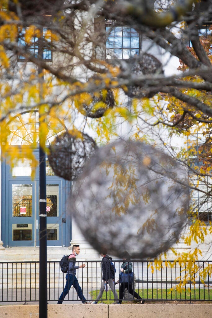 Autumn foliage and holiday decorations frame students passing the Littauer Center.