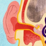 Illustration of an ear listening to music.