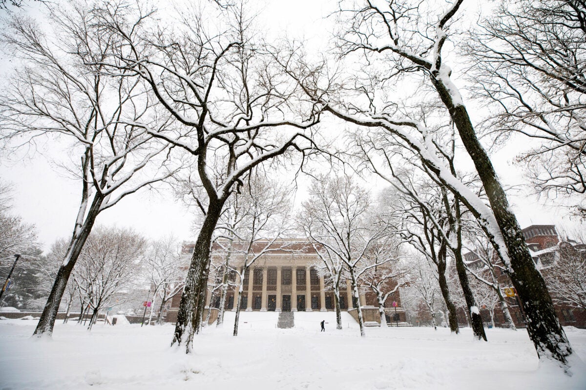 Harvard Yard first snowfall.