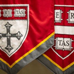 Harvard Banners.