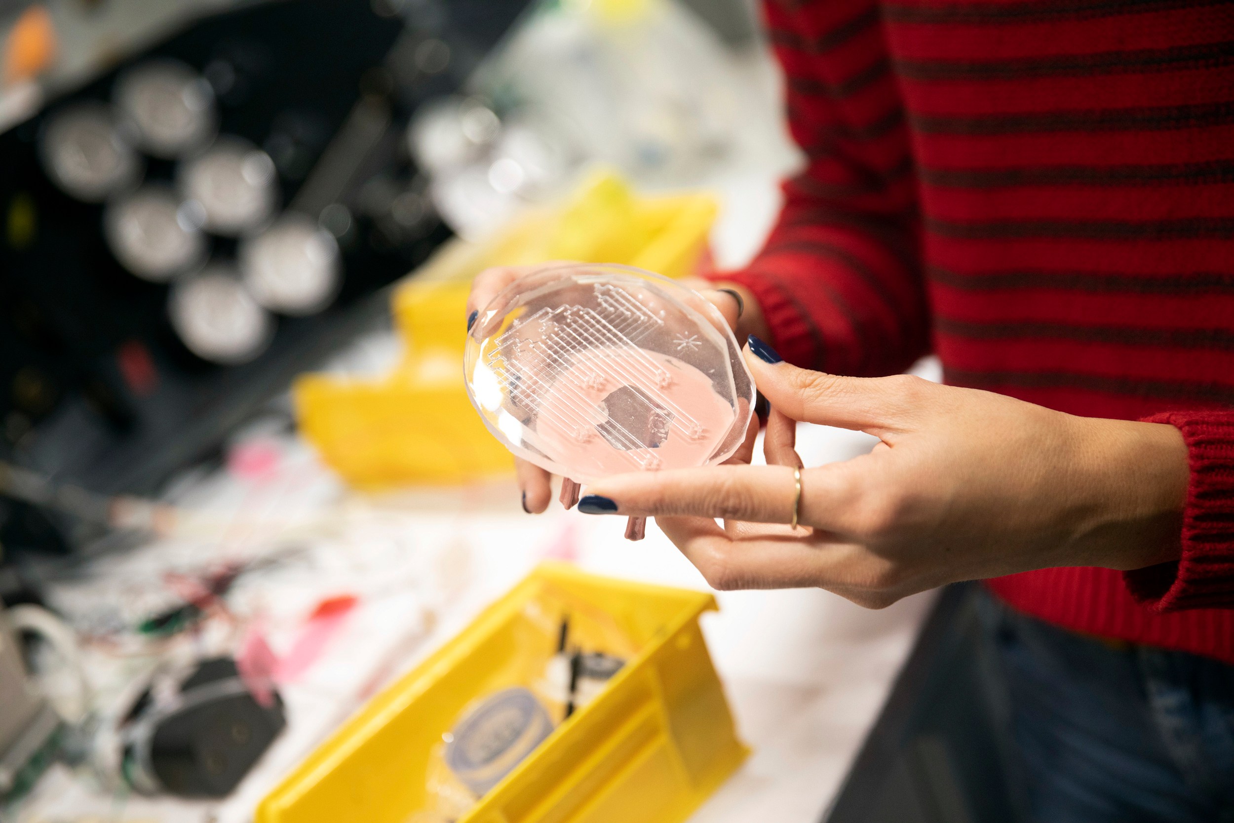 Inside the labs at the Science and Engineering Complex — Harvard Gazette