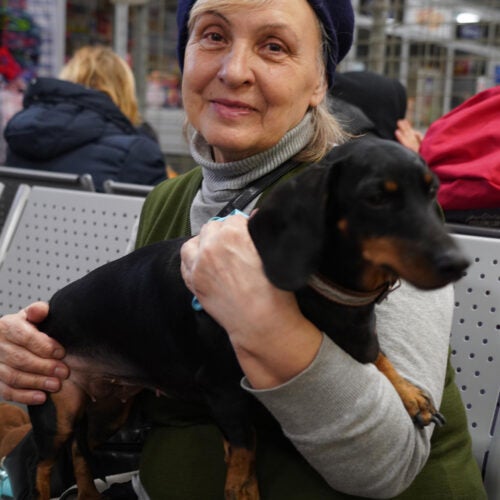 Ukrainian refugee holds family dog.
