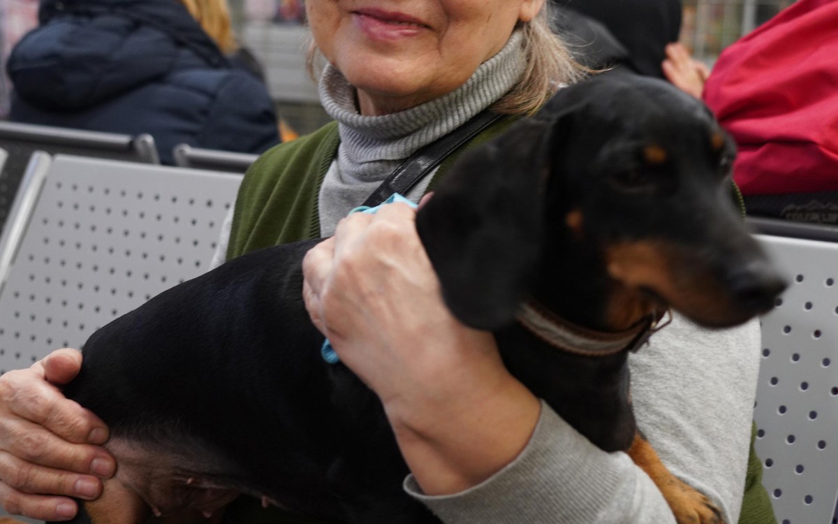 Ukrainian refugee holds family dog.