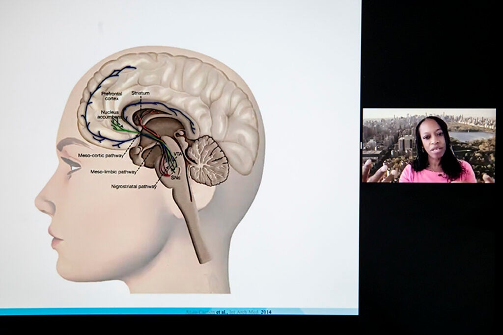 Zoom image of brain and speaker.