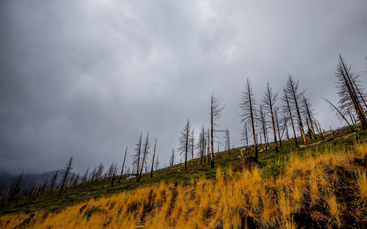 Wildfires in Sierra Nevada.