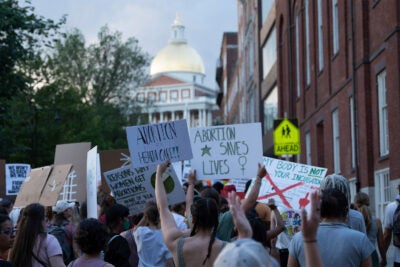 Protesters at the State House in Boston.