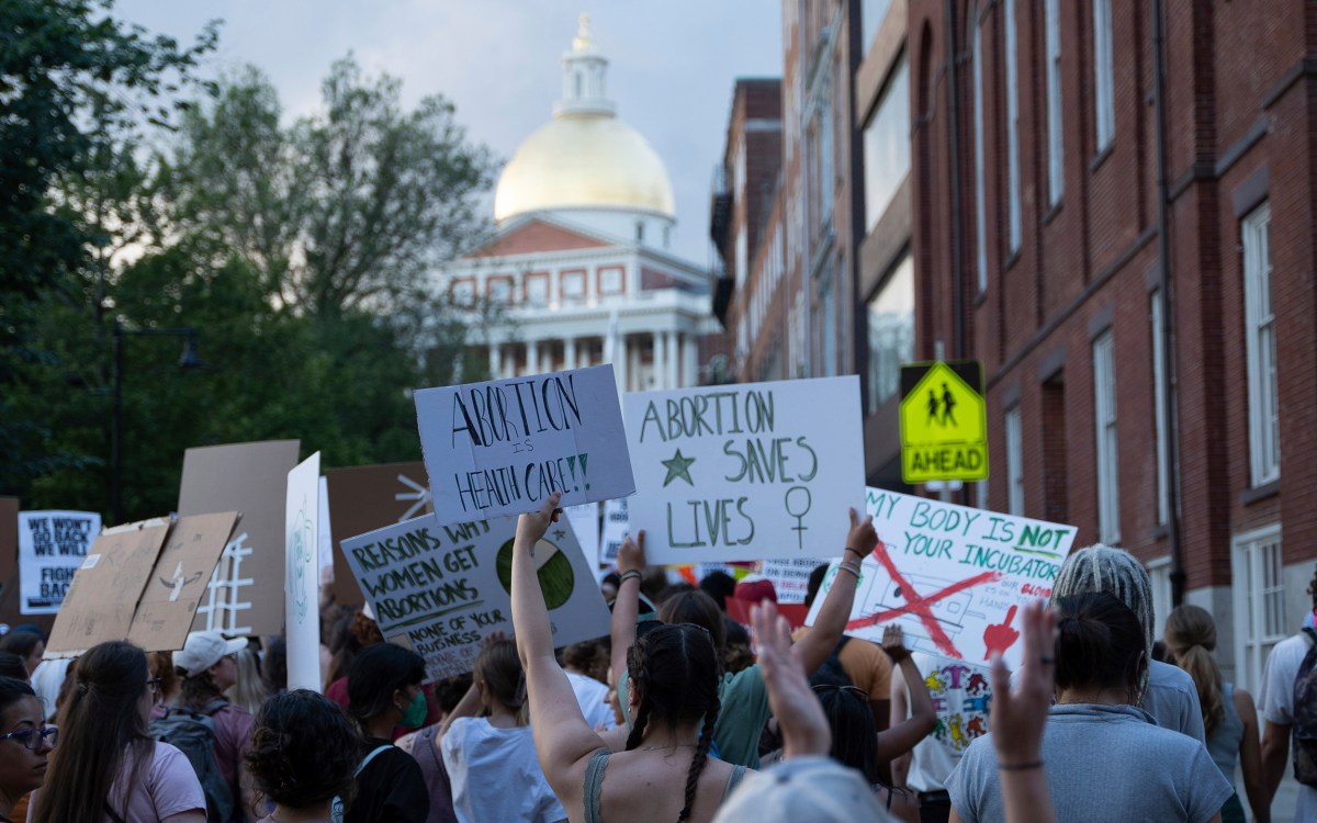 Protesters at the State House in Boston.