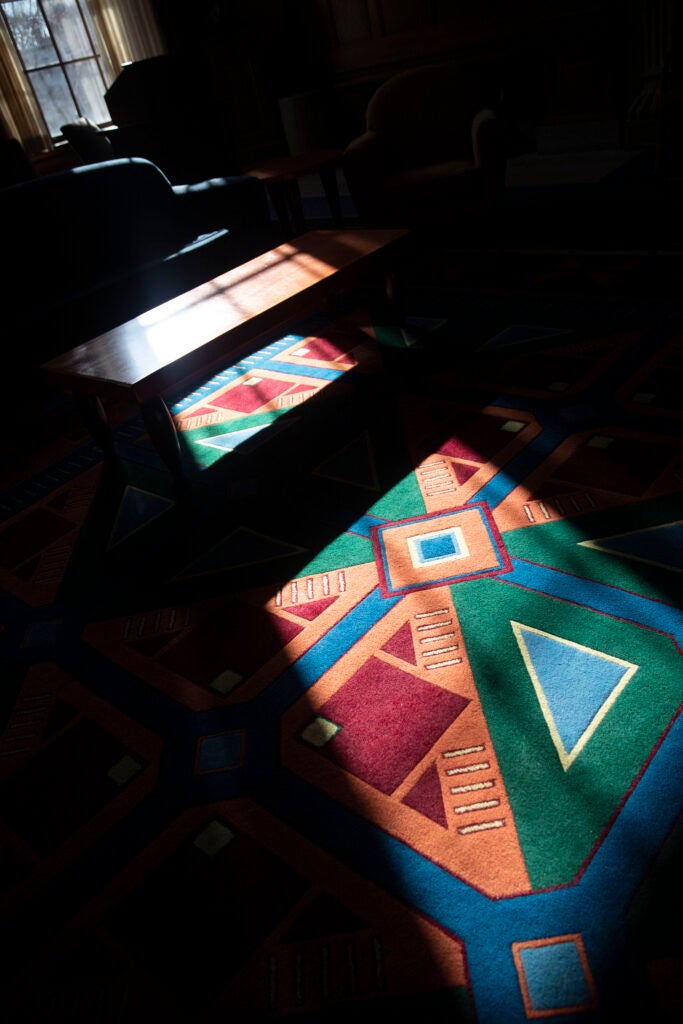 Thompson rugs at Barker Center feature a colorful abstract design.