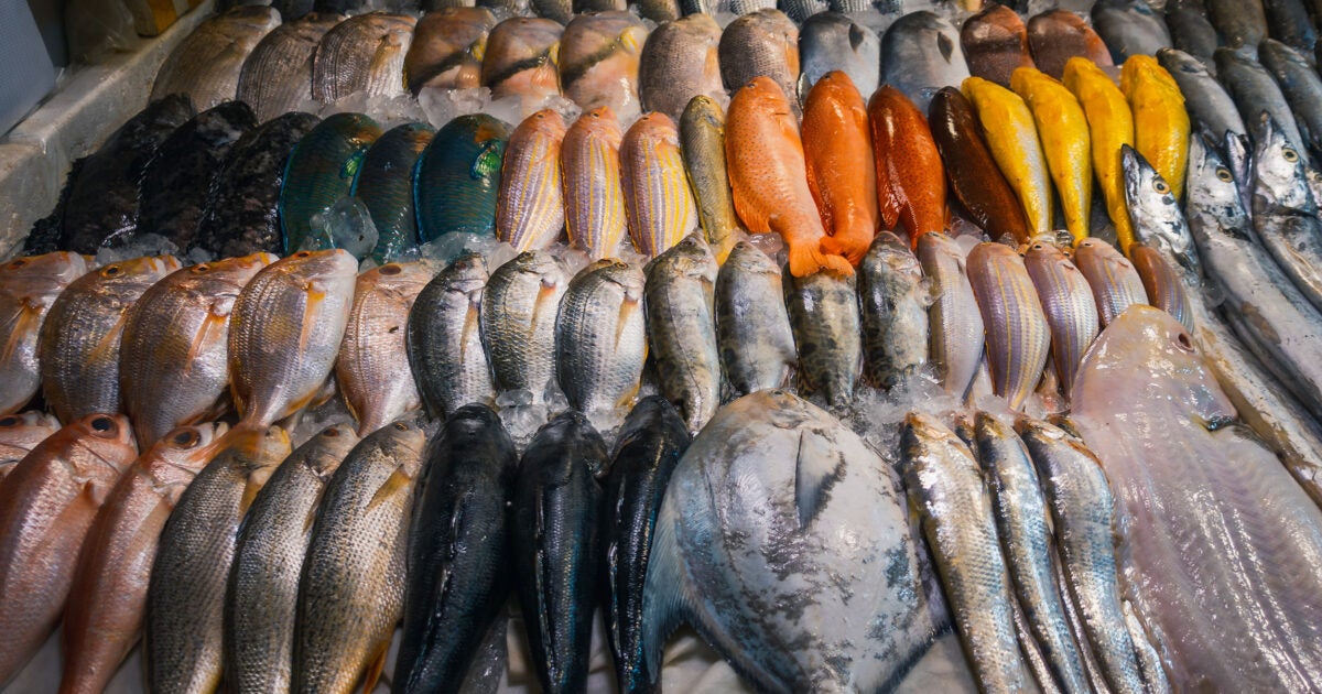 Eating fish linked to skin cancer risk, says study - Harvard Gazette
