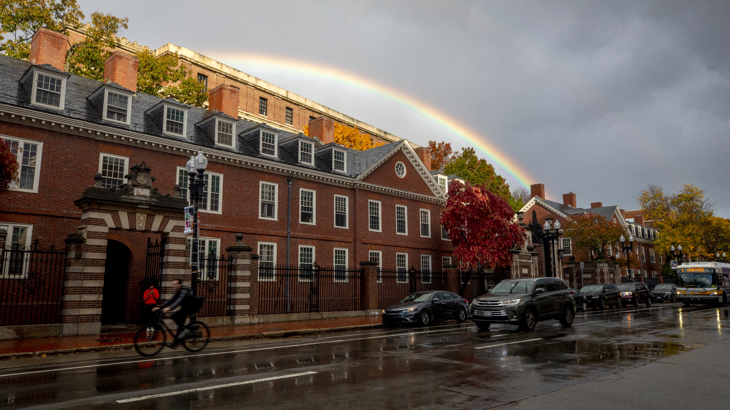 Walk through Harvard Square with 'Love Story' author — Harvard Gazette