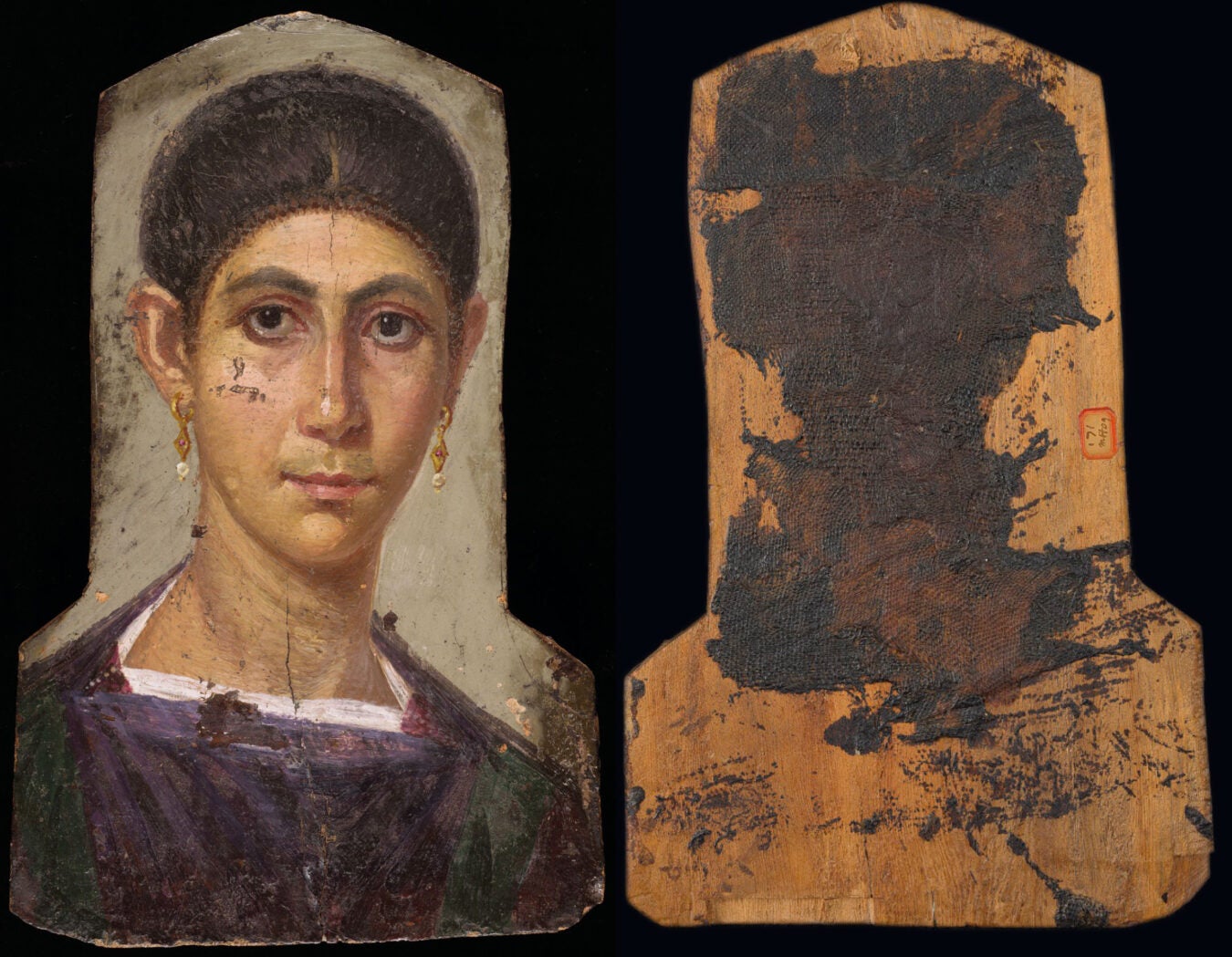 Portrait of a woman in normal light next to back of back panel showing resin and linen remnants. This highly naturalistic mummy portrait depicts a young woman with deep brown eyes, arched brows, and a long pointed nose. Her dark hair is pulled back with only a row of small curls framing her forehead. Her jewelry is simple: small gold double-hooped earrings, each with a pendant pearl. She wears a deep purple tunic with green shoulder bands and maroon clasps all over a white undergarment, visible only at the neckline.