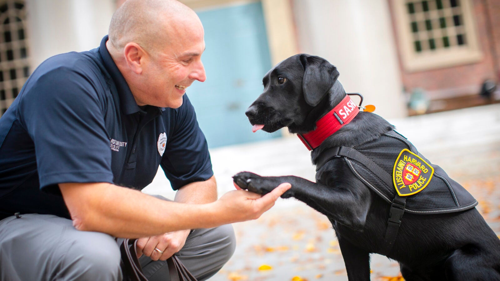 Harvard police dog patrols for smiles – Harvard Gazette