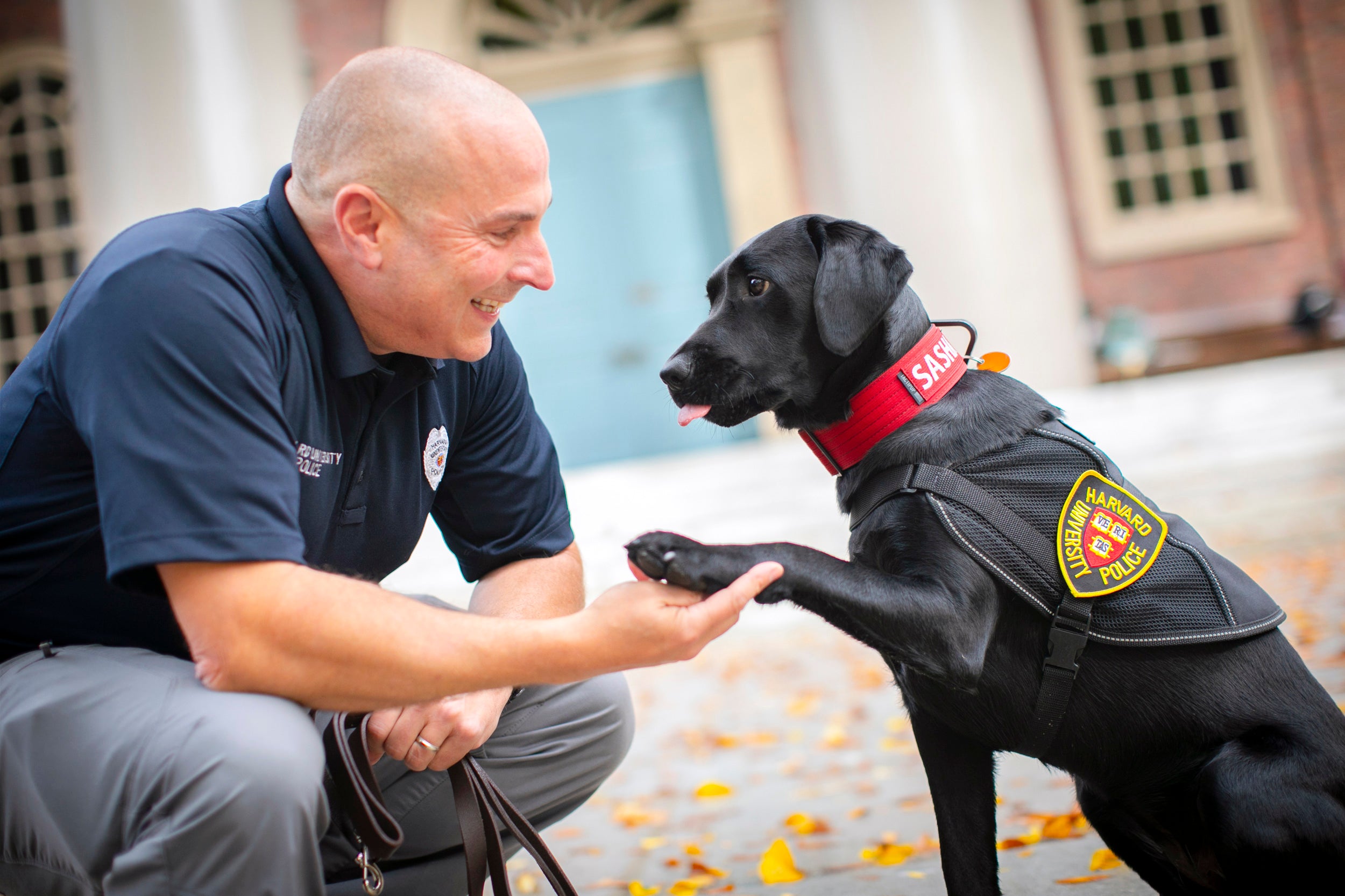 Sasha extends paw to Officer Steven Fumicello.