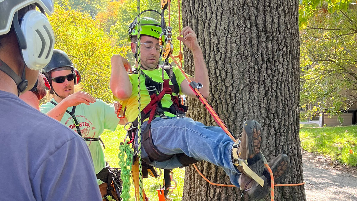 AJ Tataronis from the Arnold Arboretum helps Lucas Griffith from the Harvard Forest