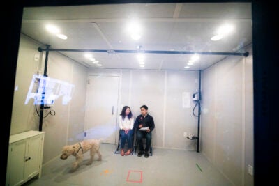 A one-way mirror let students observe a dog's behavior.