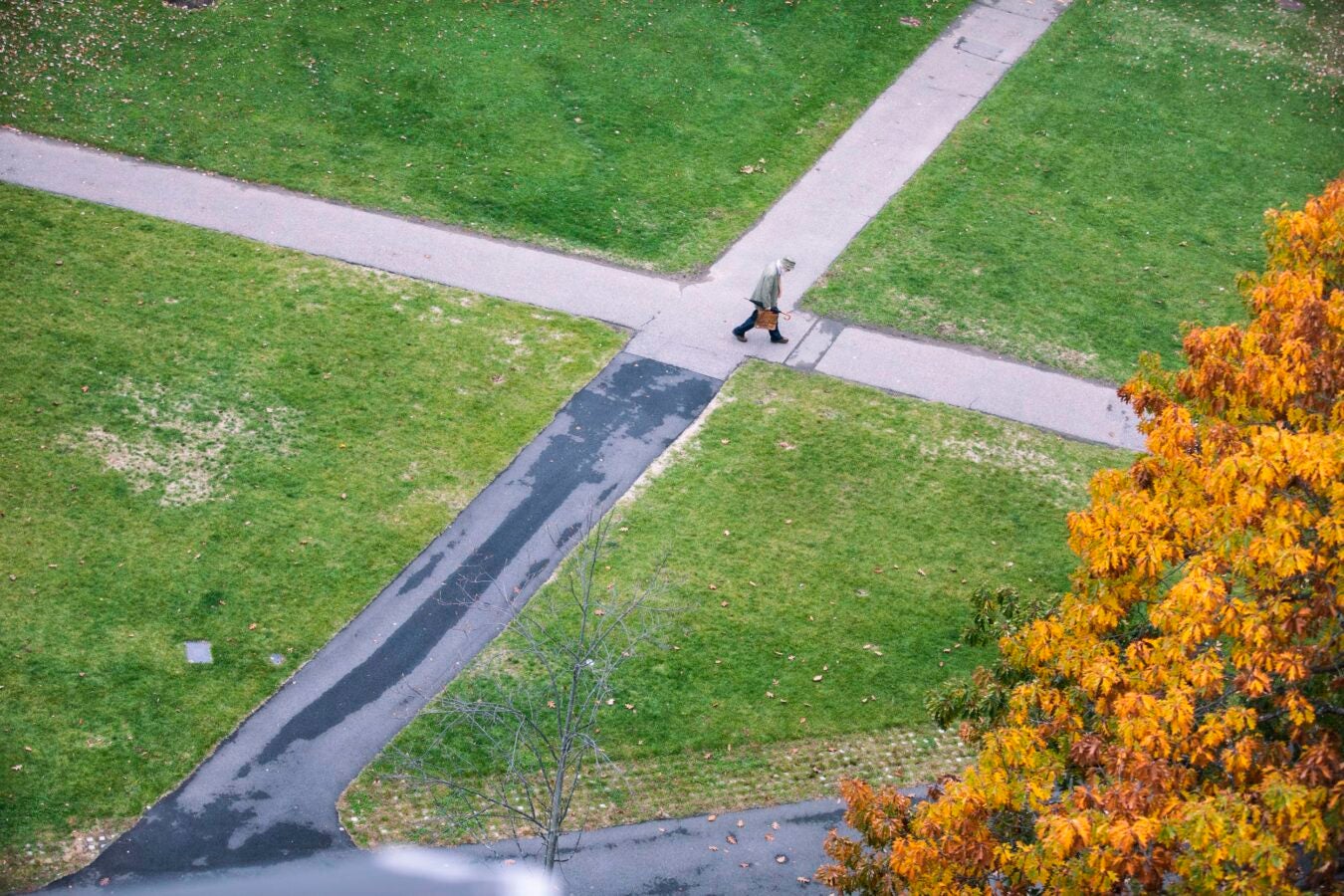 Pictured from overhead, a man walks across the x-intersection of two paths by Harvard Divinity School.