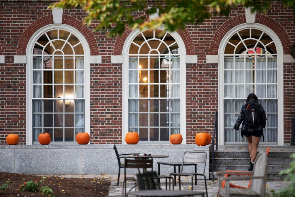 Bay windows and pumpkins form series in the Leverett House courtyard.