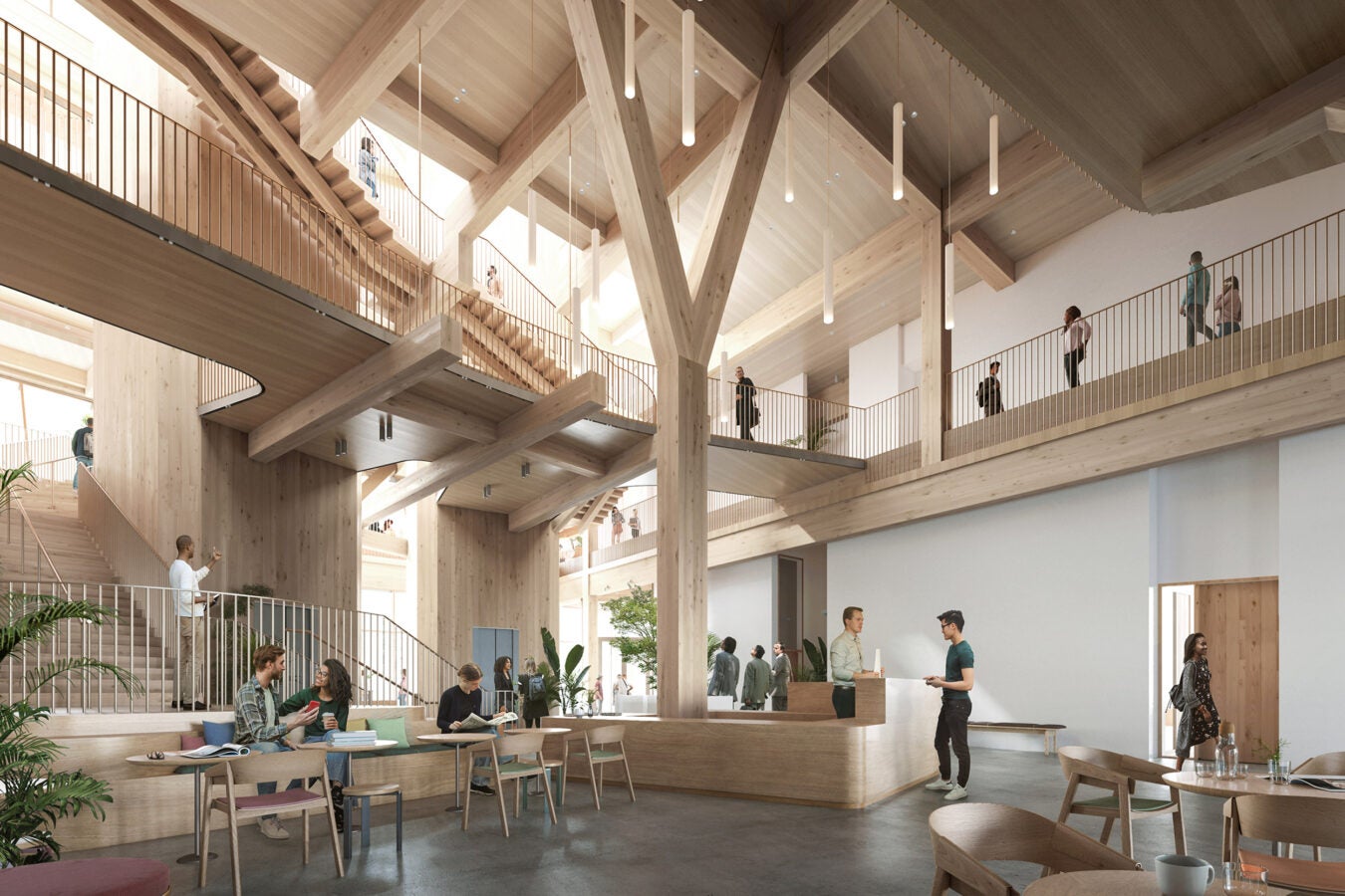 The visible mass timber columns and beams in the building’s design.