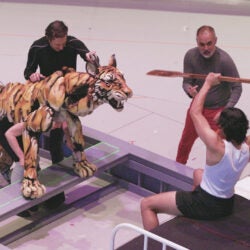 "Life of Pi" rehearsal with Bengal tiger puppet.