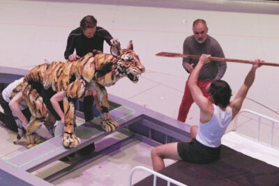 "Life of Pi" rehearsal with Bengal tiger puppet.