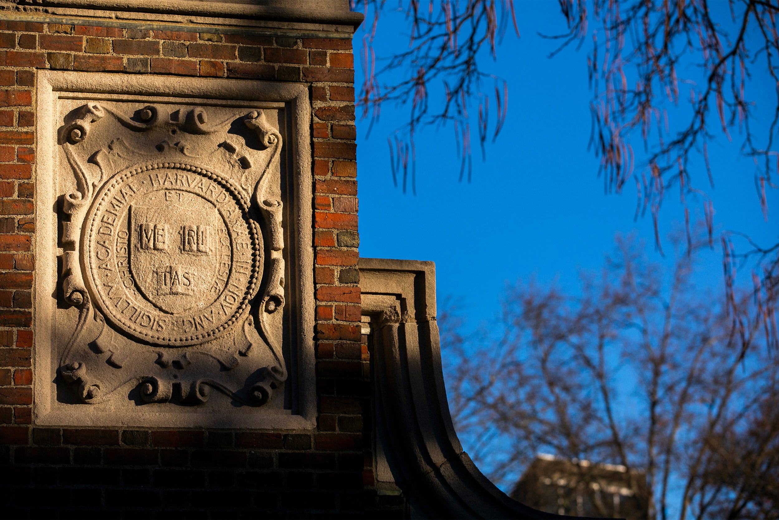 A Harvard gate featuring the veritas shield.