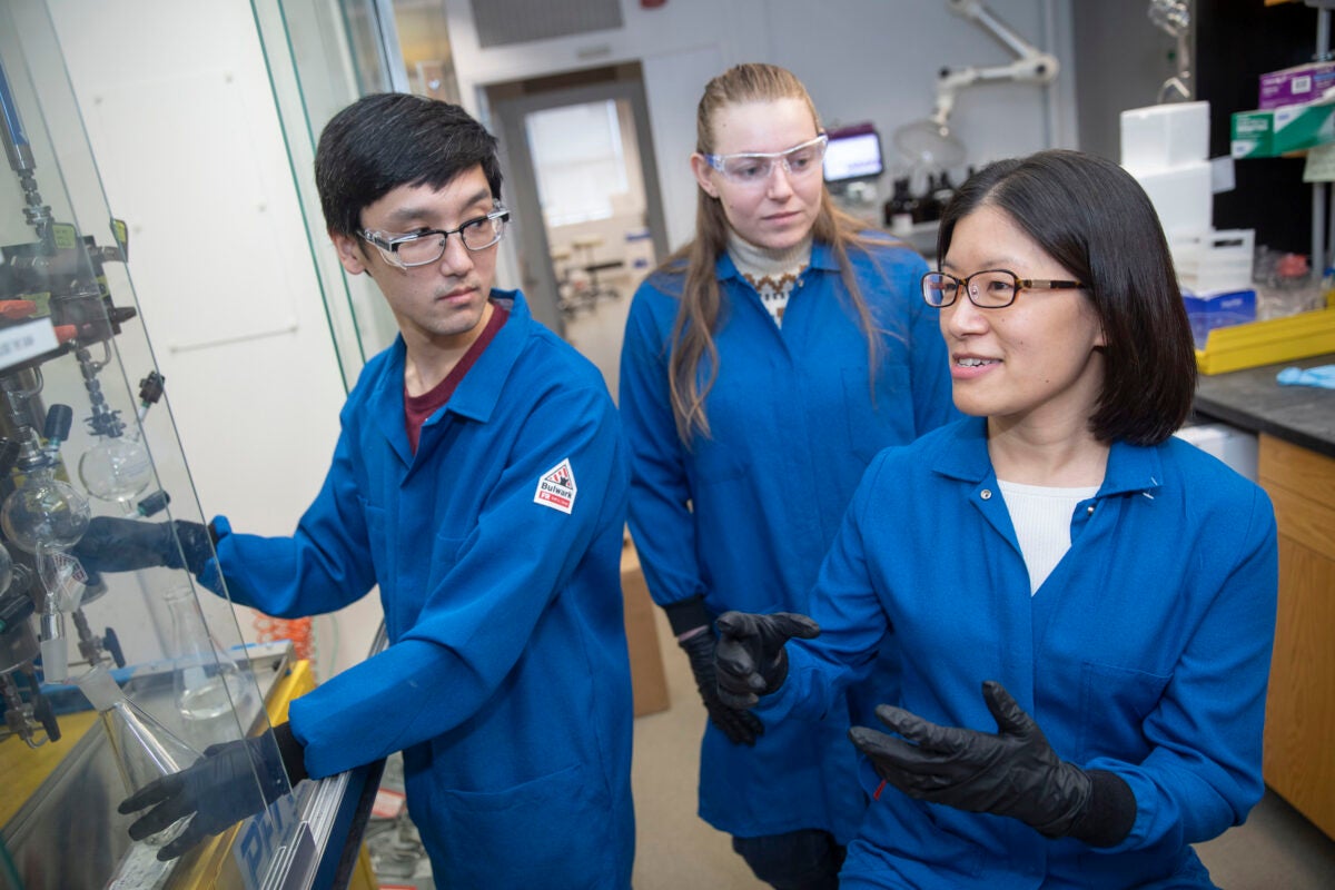 Research assistants David Miyamoto (from left) and Nicole Curnutt work with Associate Professor Christina Woo