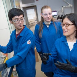 Research assistants David Miyamoto (from left) and Nicole Curnutt work with Associate Professor Christina Woo