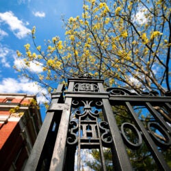 Harvard Gate in spring.