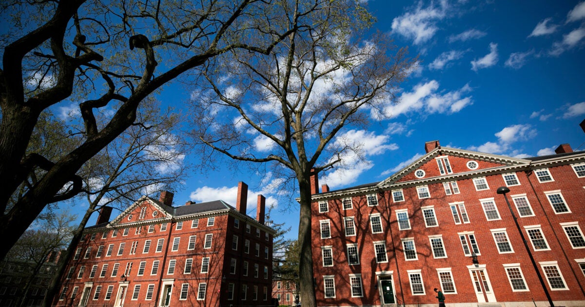 Le Collège fait des offres d’admission régulières à 1 220 – Harvard Gazette